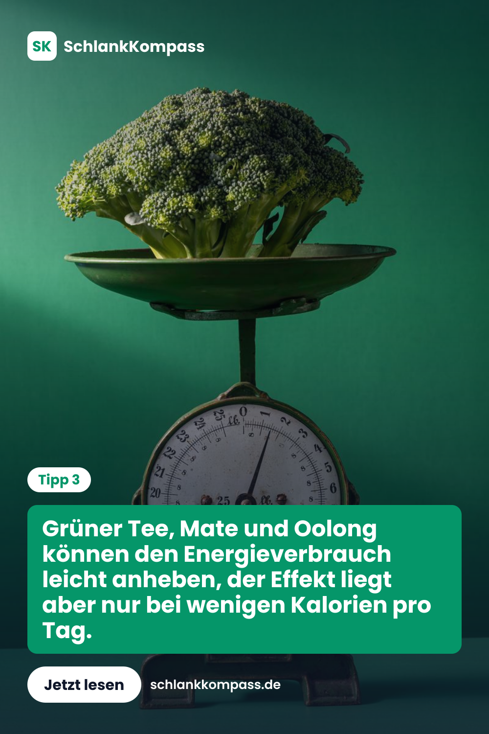 Grüner Tee, Mate und Oolong können den Energieverbrauch leicht anheben, der Effekt liegt aber nur bei wenigen Kalorien pro Tag.