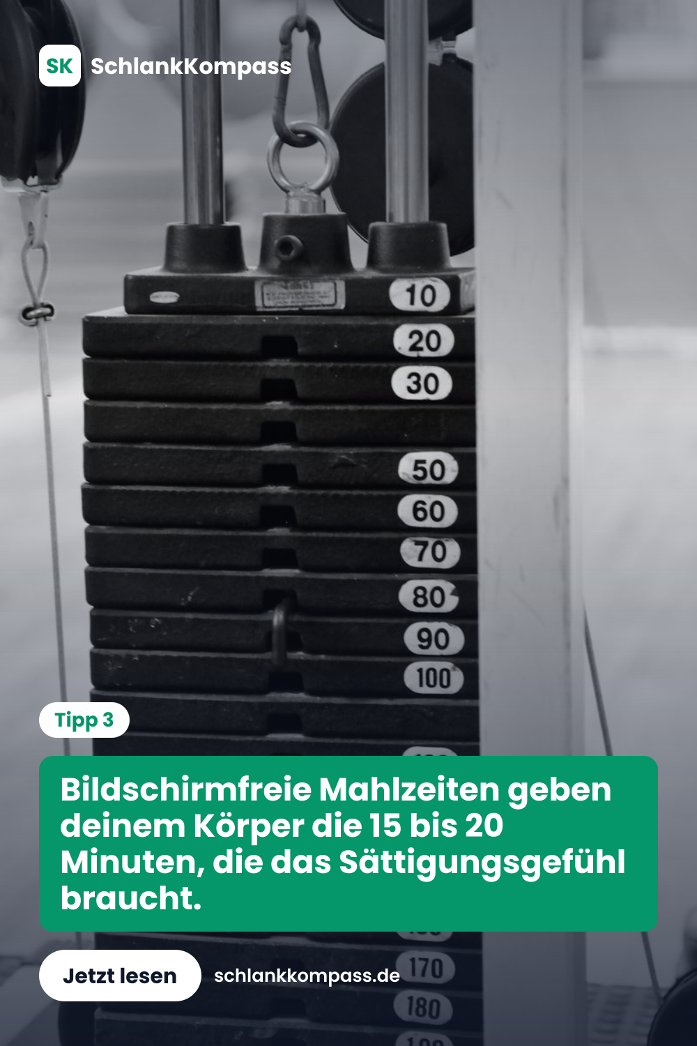 Bildschirmfreie Mahlzeiten geben deinem Körper die 15 bis 20 Minuten, die das Sättigungsgefühl braucht.