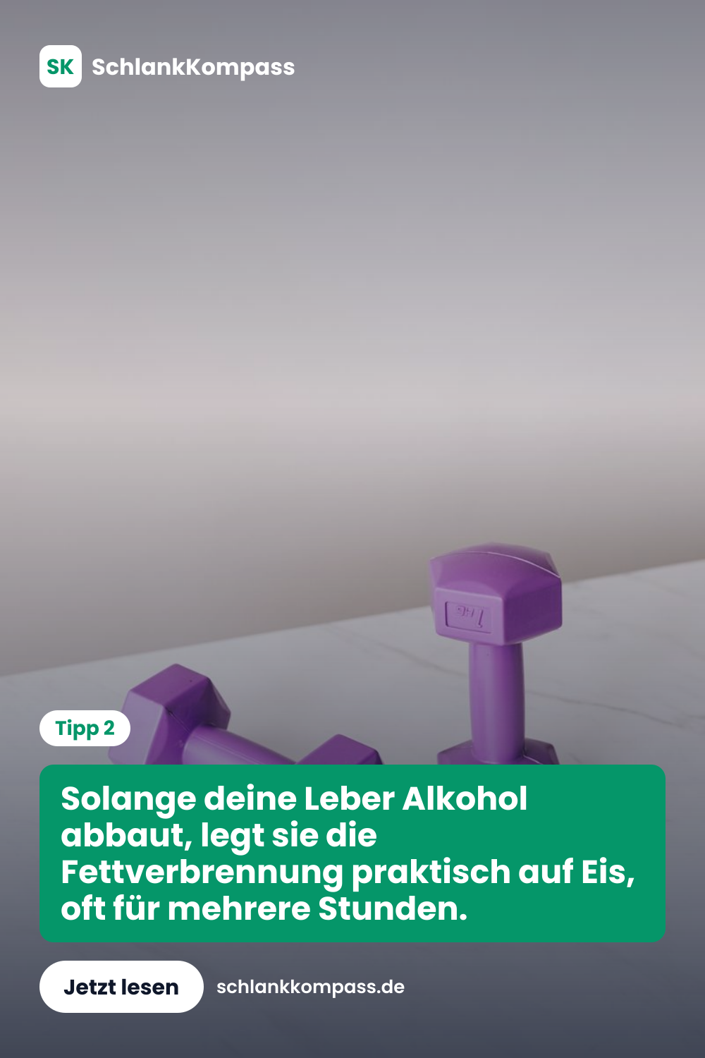 Solange deine Leber Alkohol abbaut, legt sie die Fettverbrennung praktisch auf Eis, oft für mehrere Stunden.