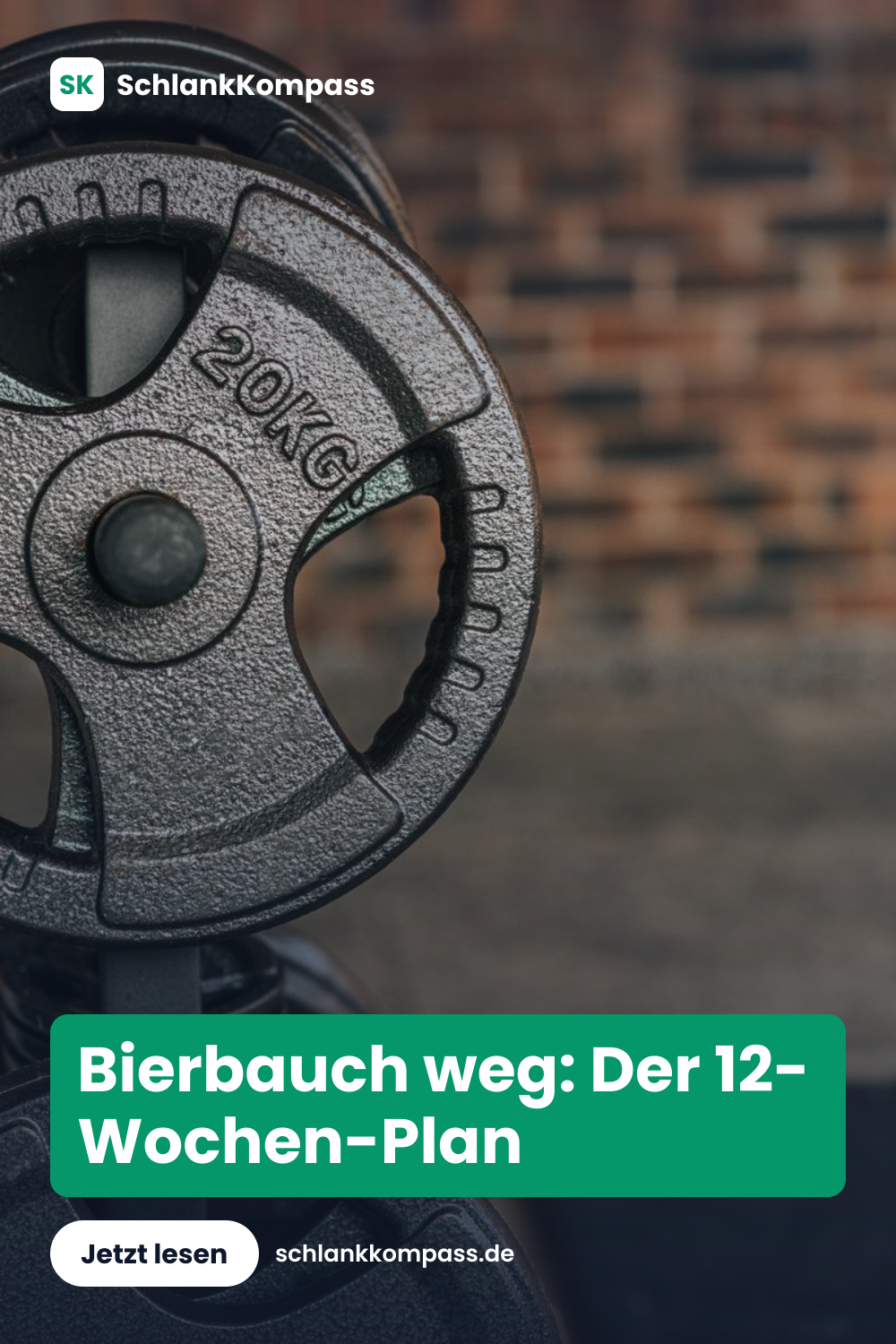 Bierbauch weg: Der 12-Wochen-Plan