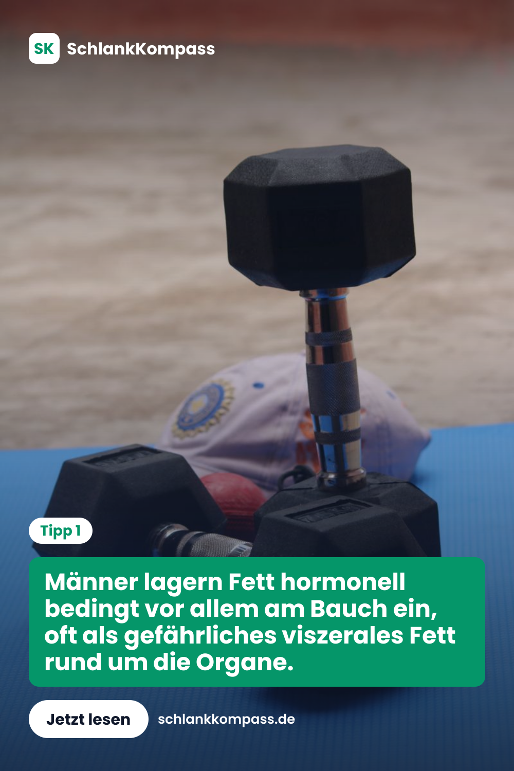Männer lagern Fett hormonell bedingt vor allem am Bauch ein, oft als gefährliches viszerales Fett rund um die Organe.