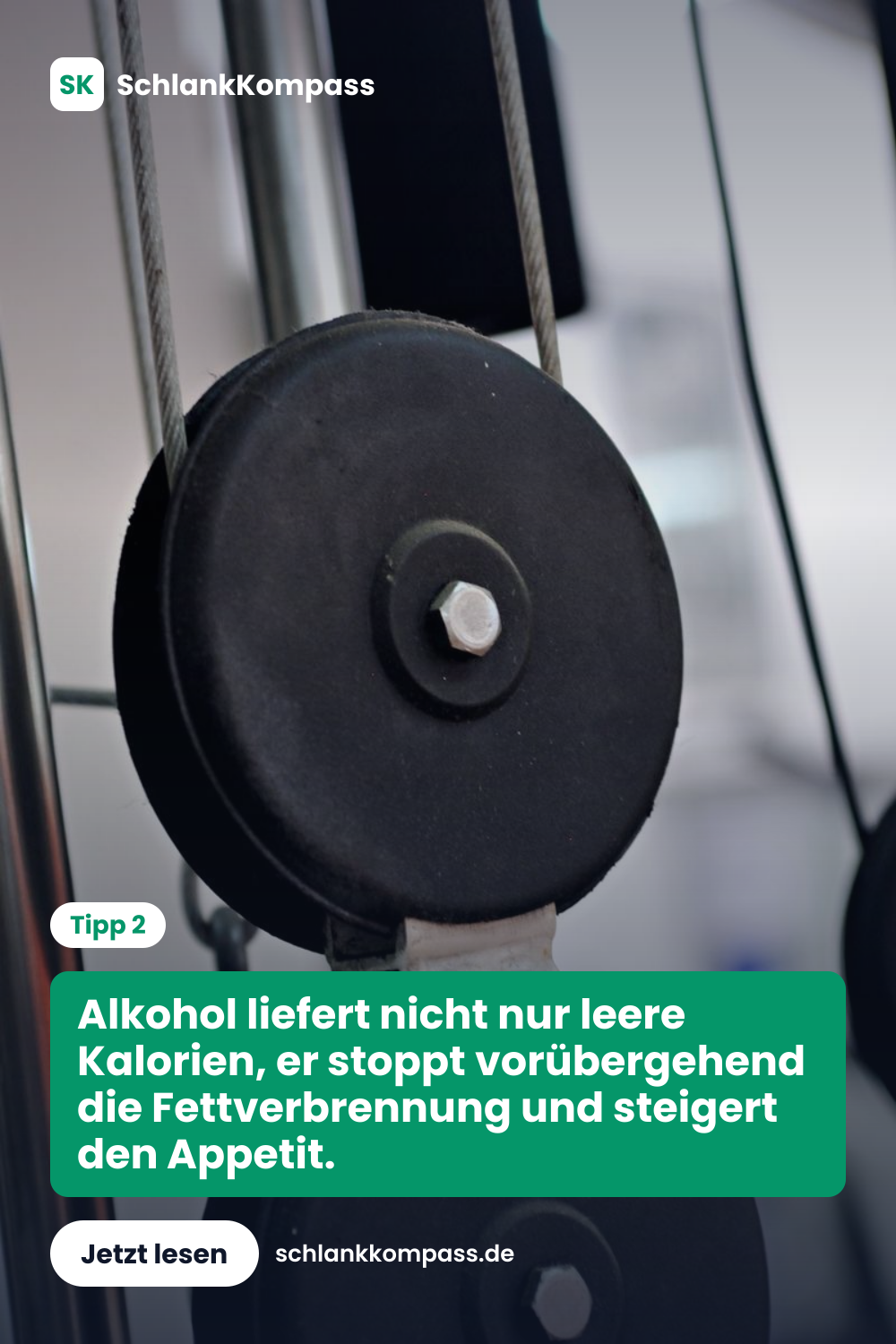 Alkohol liefert nicht nur leere Kalorien, er stoppt vorübergehend die Fettverbrennung und steigert den Appetit.