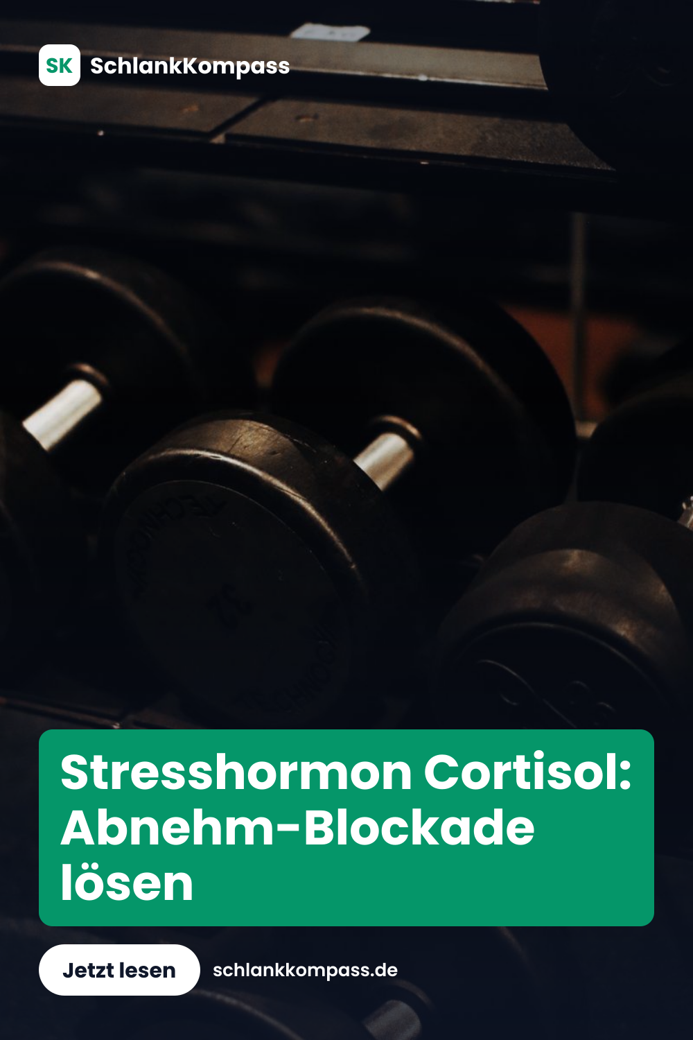 Stresshormon Cortisol: Abnehm-Blockade lösen