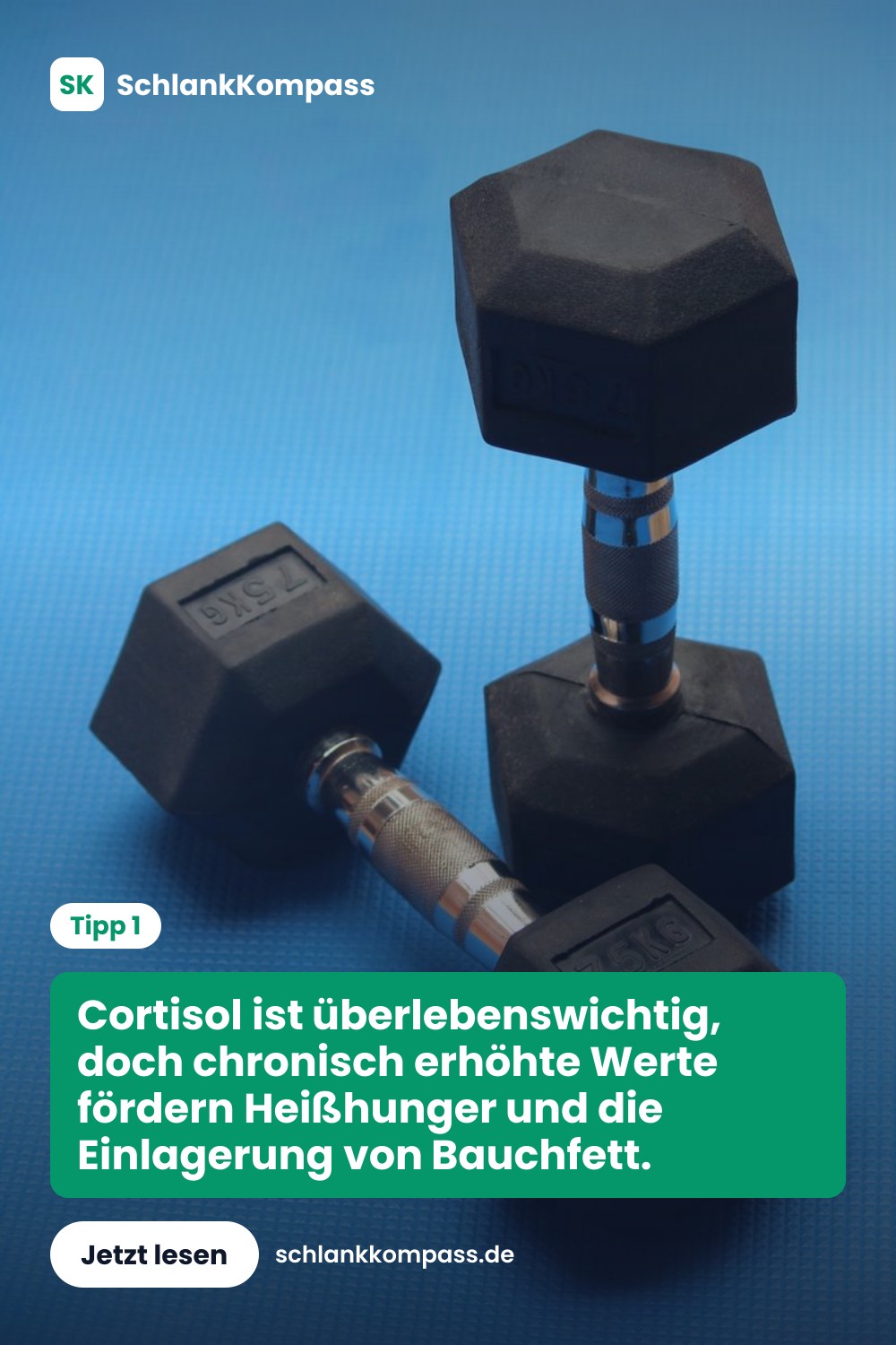 Cortisol ist überlebenswichtig, doch chronisch erhöhte Werte fördern Heißhunger und die Einlagerung von Bauchfett.