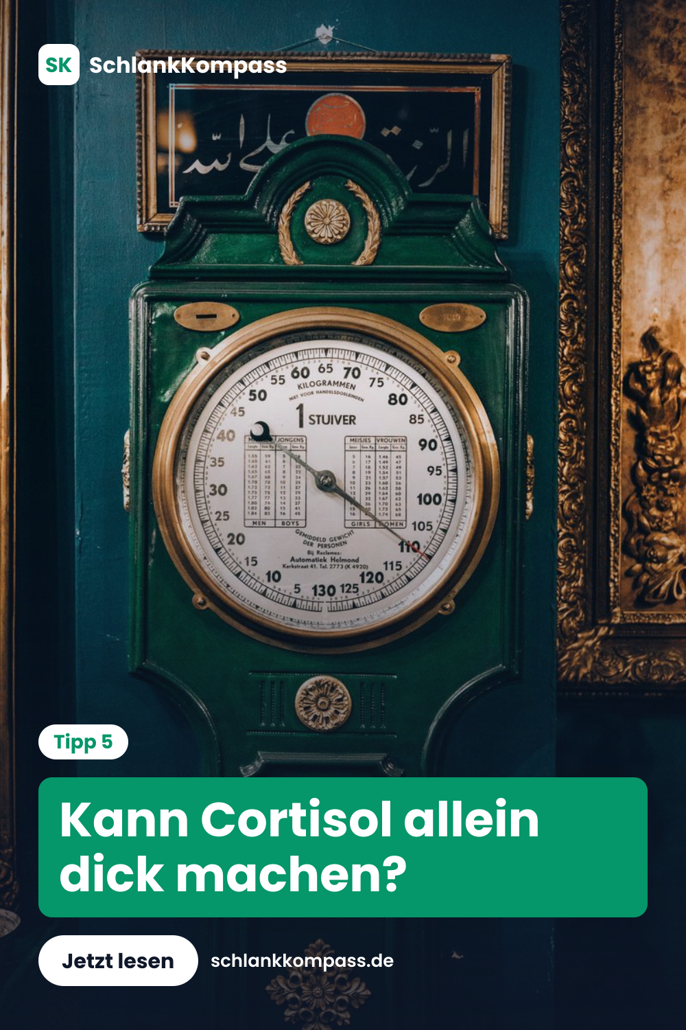 Kann Cortisol allein dick machen?