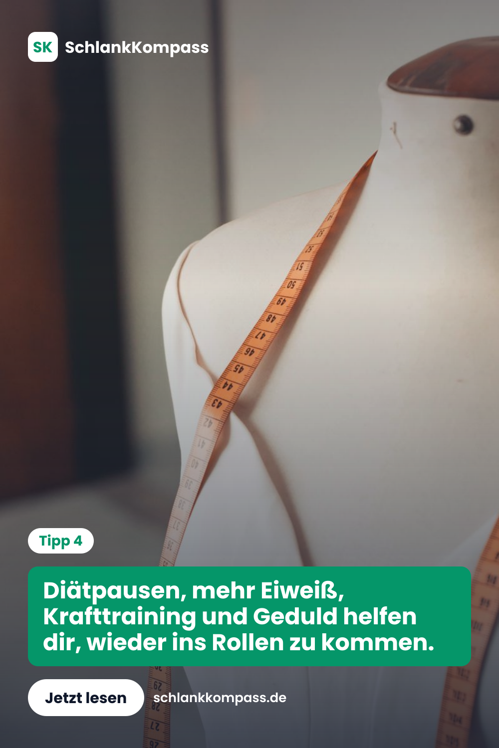 Diätpausen, mehr Eiweiß, Krafttraining und Geduld helfen dir, wieder ins Rollen zu kommen.