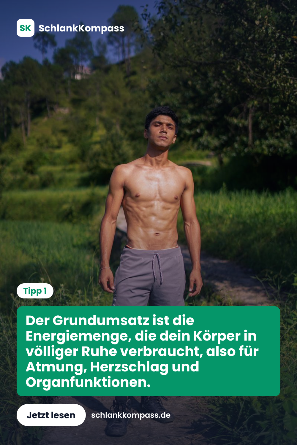 Der Grundumsatz ist die Energiemenge, die dein Körper in völliger Ruhe verbraucht, also für Atmung, Herzschlag und Organfunktionen.