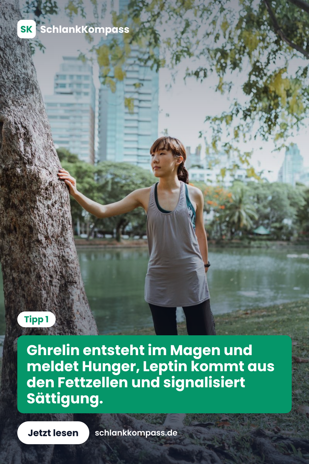 Ghrelin entsteht im Magen und meldet Hunger, Leptin kommt aus den Fettzellen und signalisiert Sättigung.
