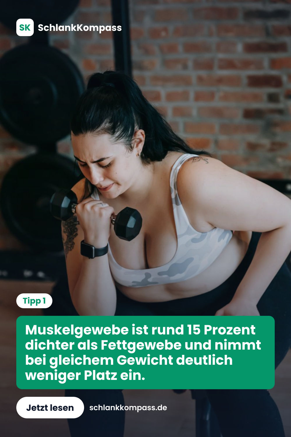 Muskelgewebe ist rund 15 Prozent dichter als Fettgewebe und nimmt bei gleichem Gewicht deutlich weniger Platz ein.