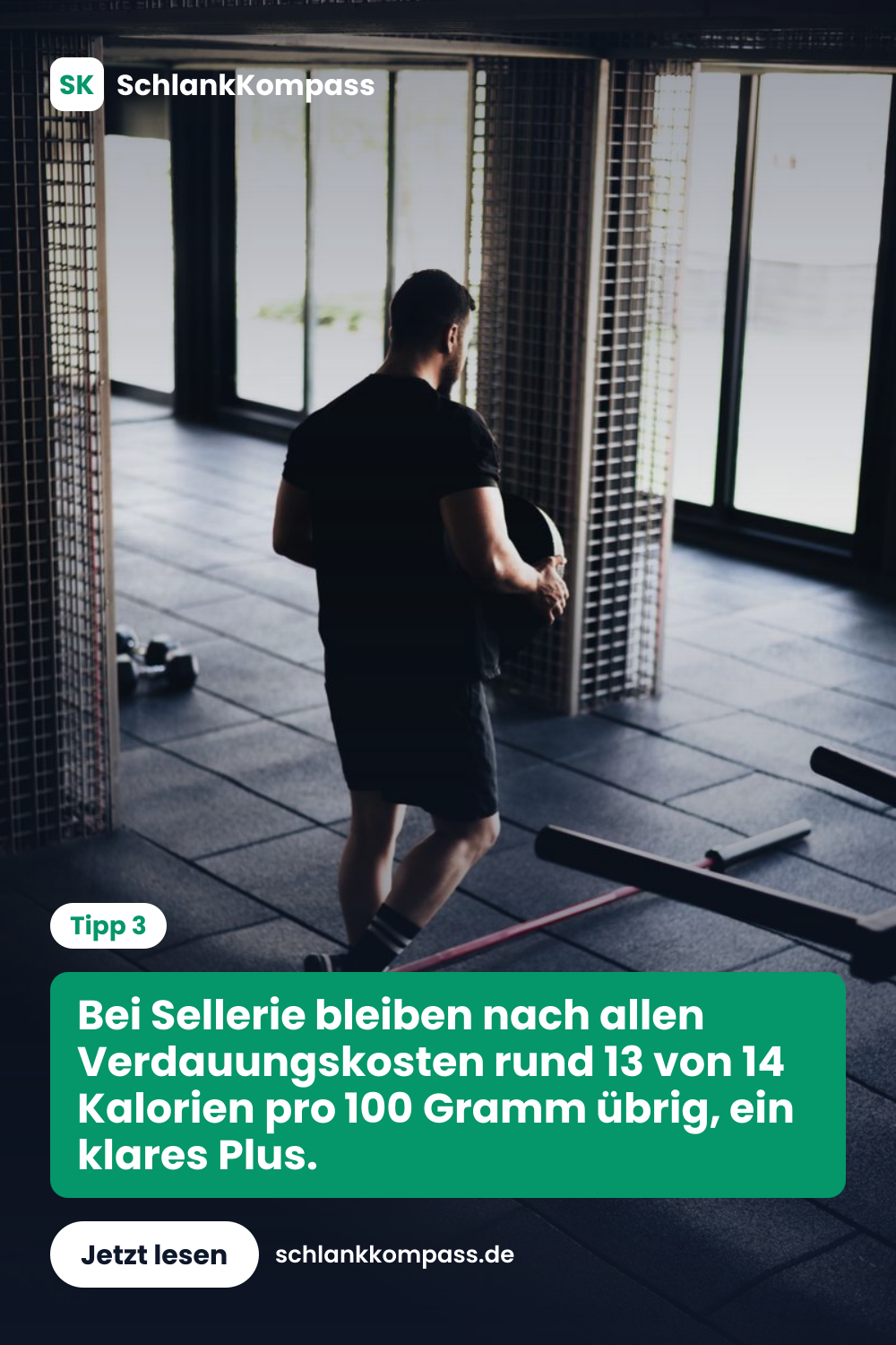 Bei Sellerie bleiben nach allen Verdauungskosten rund 13 von 14 Kalorien pro 100 Gramm übrig, ein klares Plus.