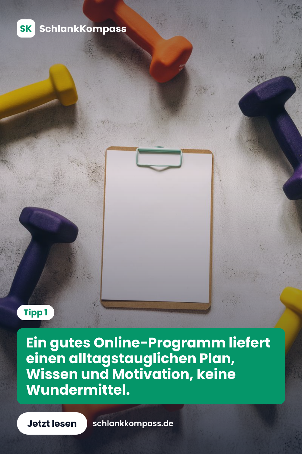 Ein gutes Online-Programm liefert einen alltagstauglichen Plan, Wissen und Motivation, keine Wundermittel.