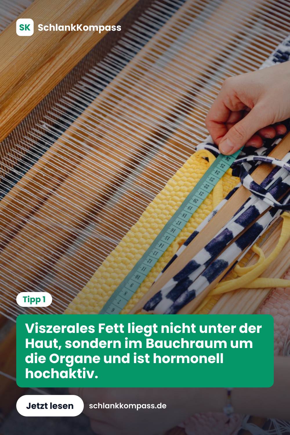 Viszerales Fett liegt nicht unter der Haut, sondern im Bauchraum um die Organe und ist hormonell hochaktiv.