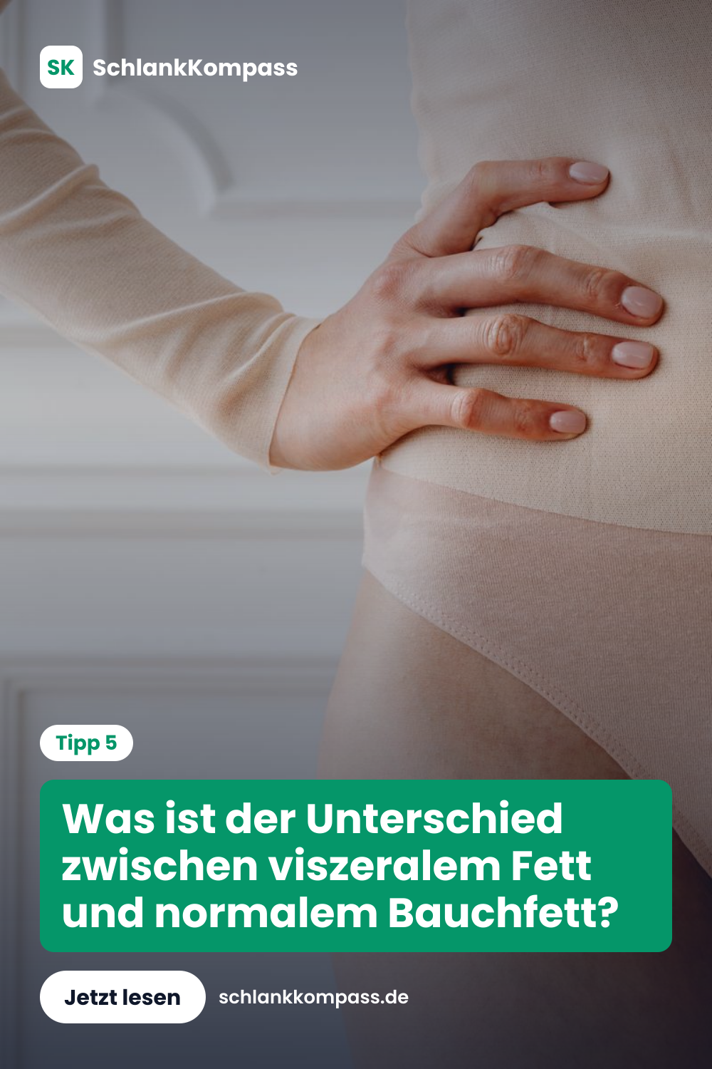 Was ist der Unterschied zwischen viszeralem Fett und normalem Bauchfett?