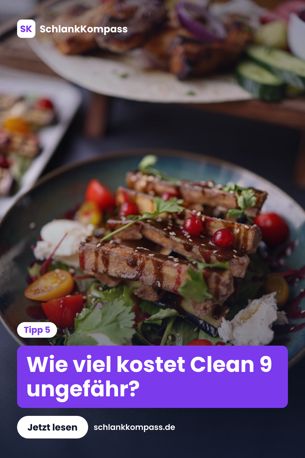 Wie viel kostet Clean 9 ungefähr?
