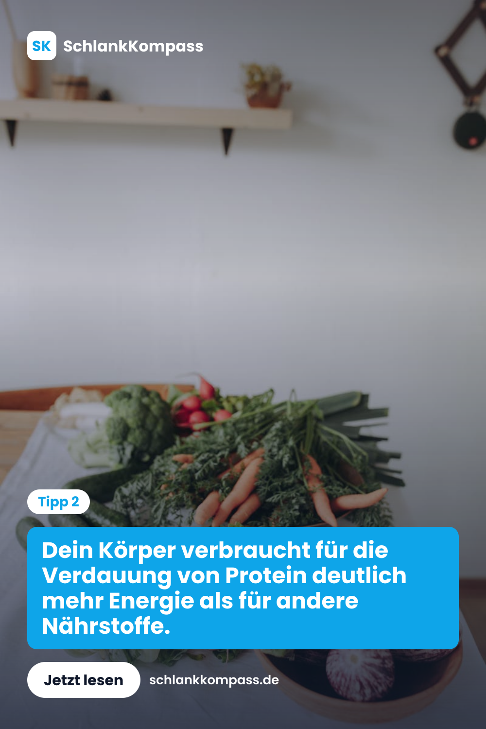 Dein Körper verbraucht für die Verdauung von Protein deutlich mehr Energie als für andere Nährstoffe.