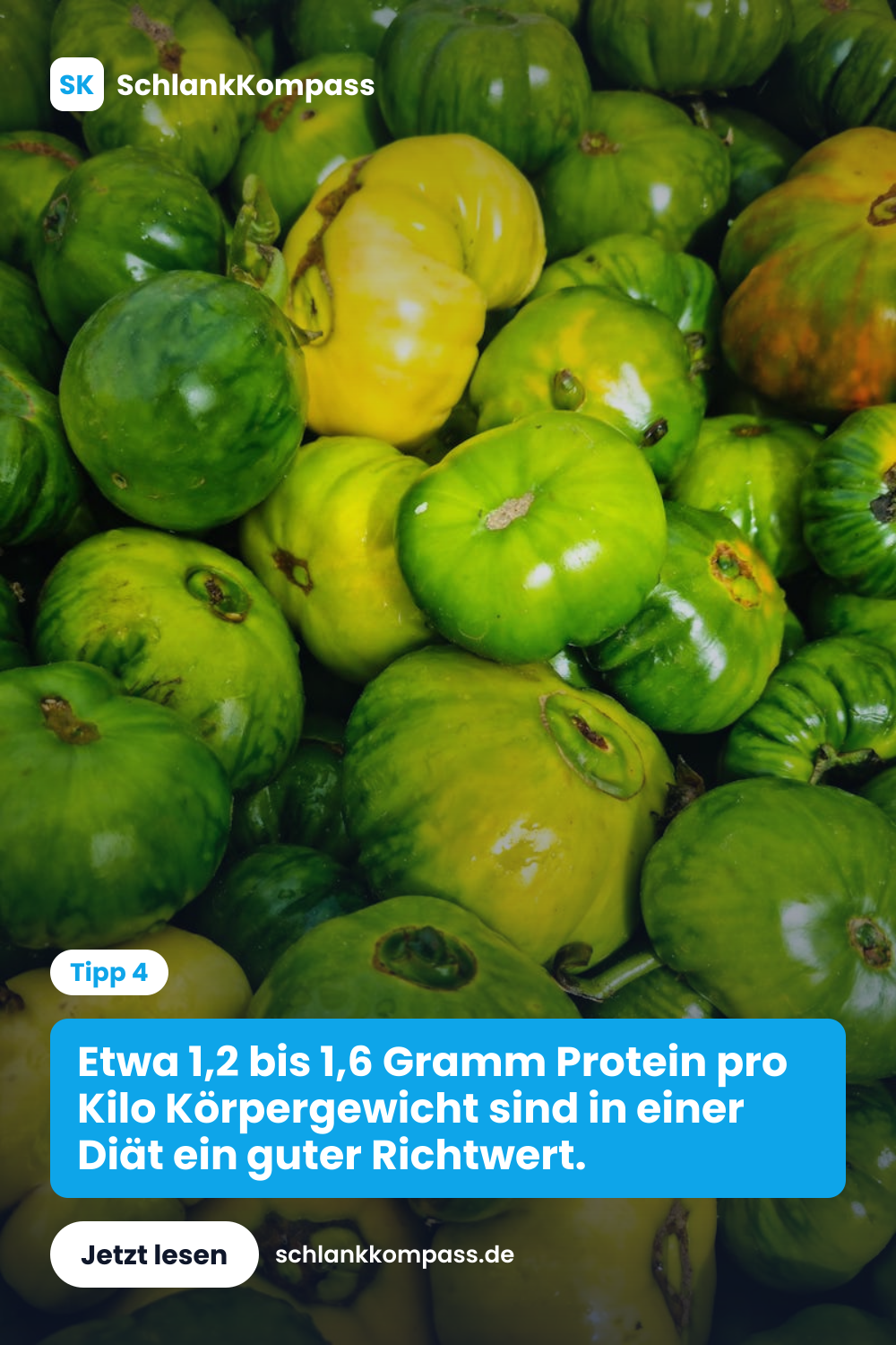 Etwa 1,2 bis 1,6 Gramm Protein pro Kilo Körpergewicht sind in einer Diät ein guter Richtwert.