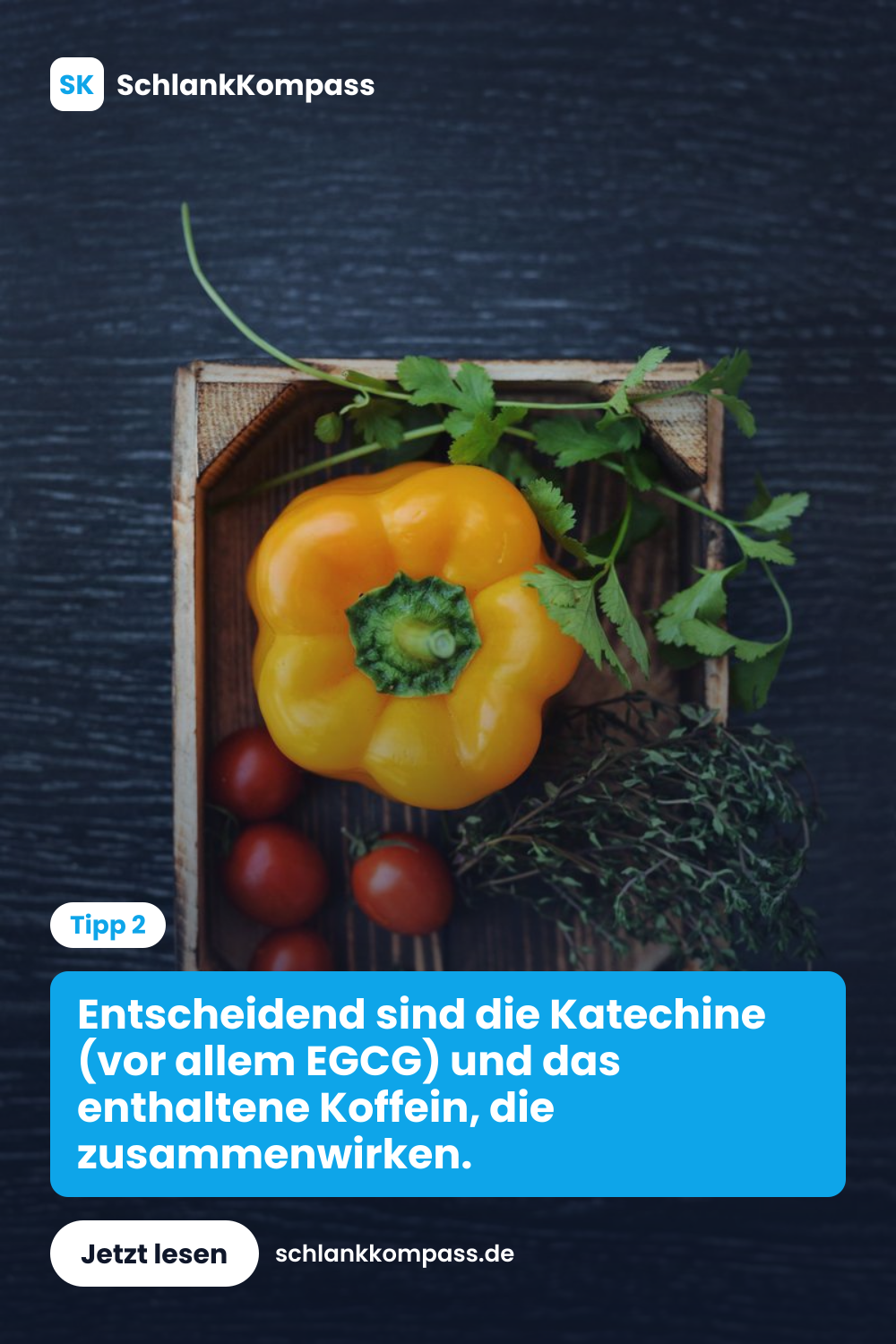 Entscheidend sind die Katechine (vor allem EGCG) und das enthaltene Koffein, die zusammenwirken.