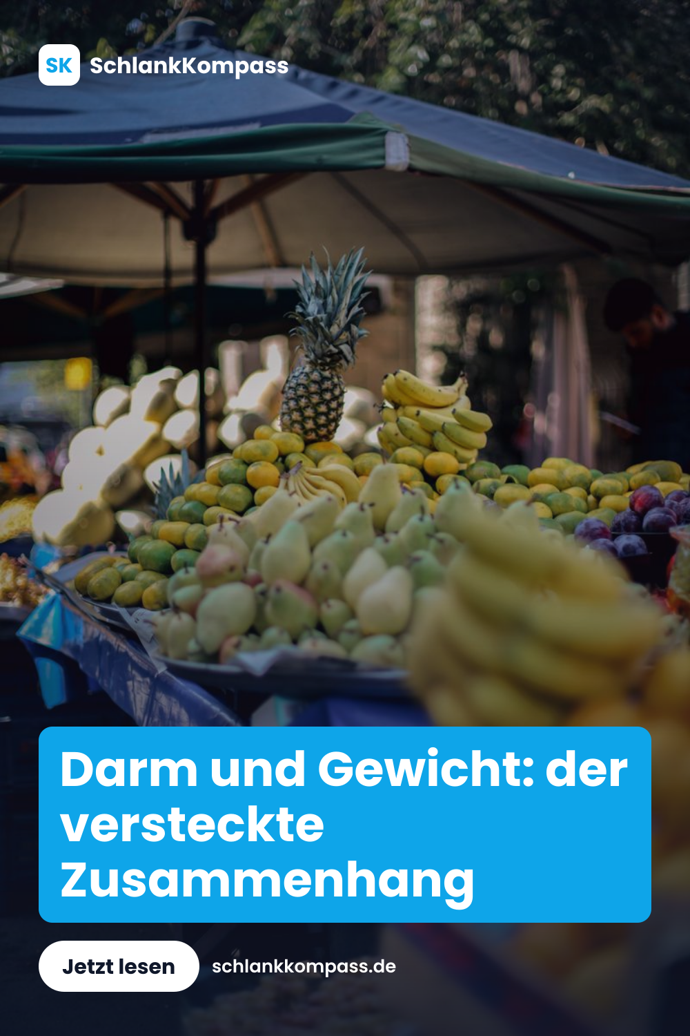 Darm und Gewicht: der versteckte Zusammenhang