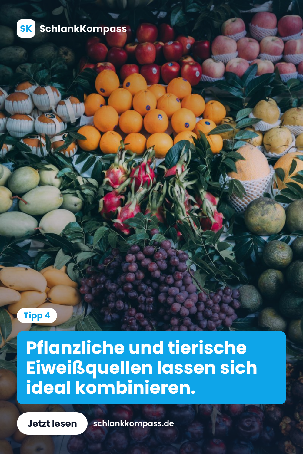 Pflanzliche und tierische Eiweißquellen lassen sich ideal kombinieren.
