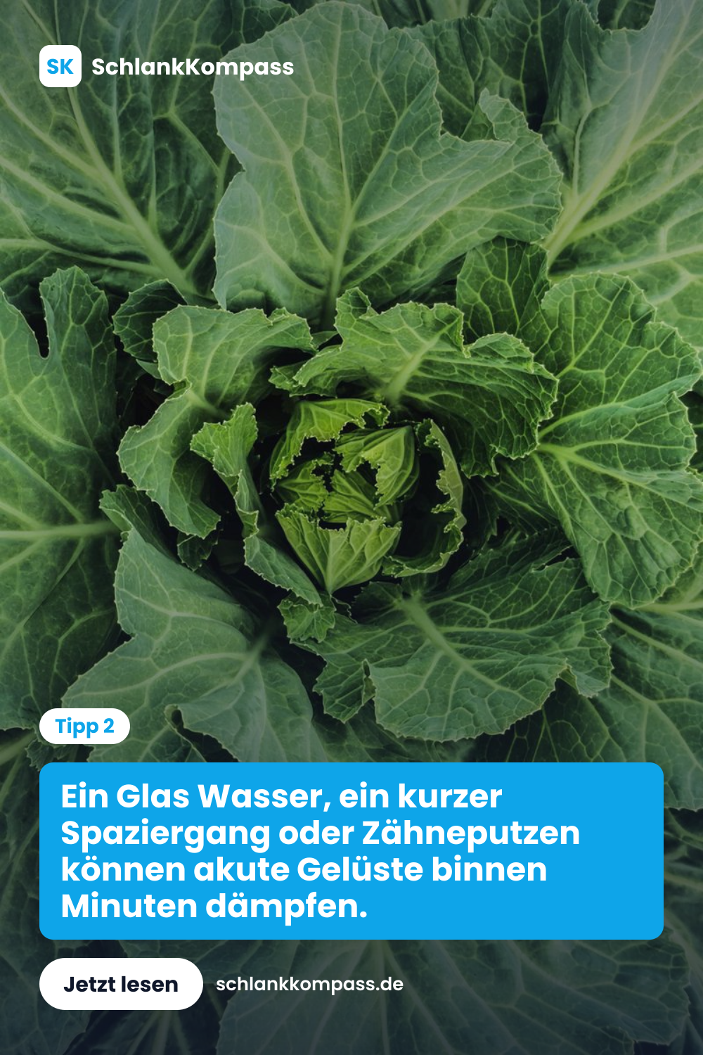 Ein Glas Wasser, ein kurzer Spaziergang oder Zähneputzen können akute Gelüste binnen Minuten dämpfen.