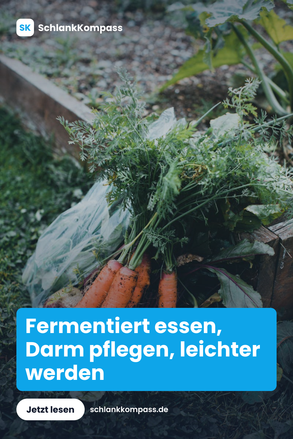 Fermentiert essen, Darm pflegen, leichter werden