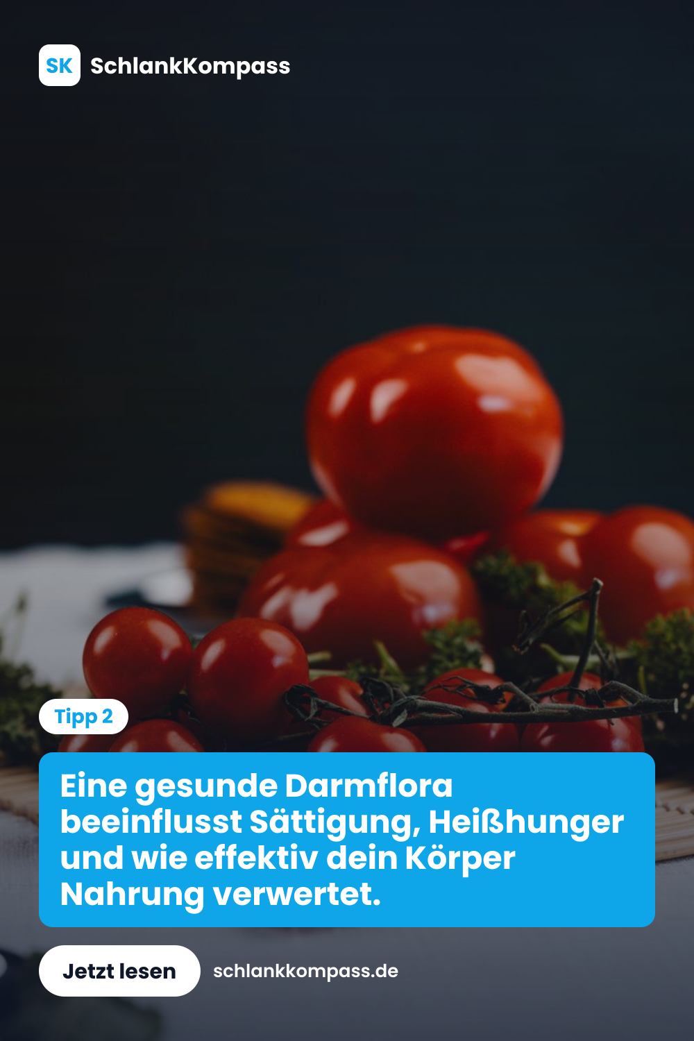 Eine gesunde Darmflora beeinflusst Sättigung, Heißhunger und wie effektiv dein Körper Nahrung verwertet.
