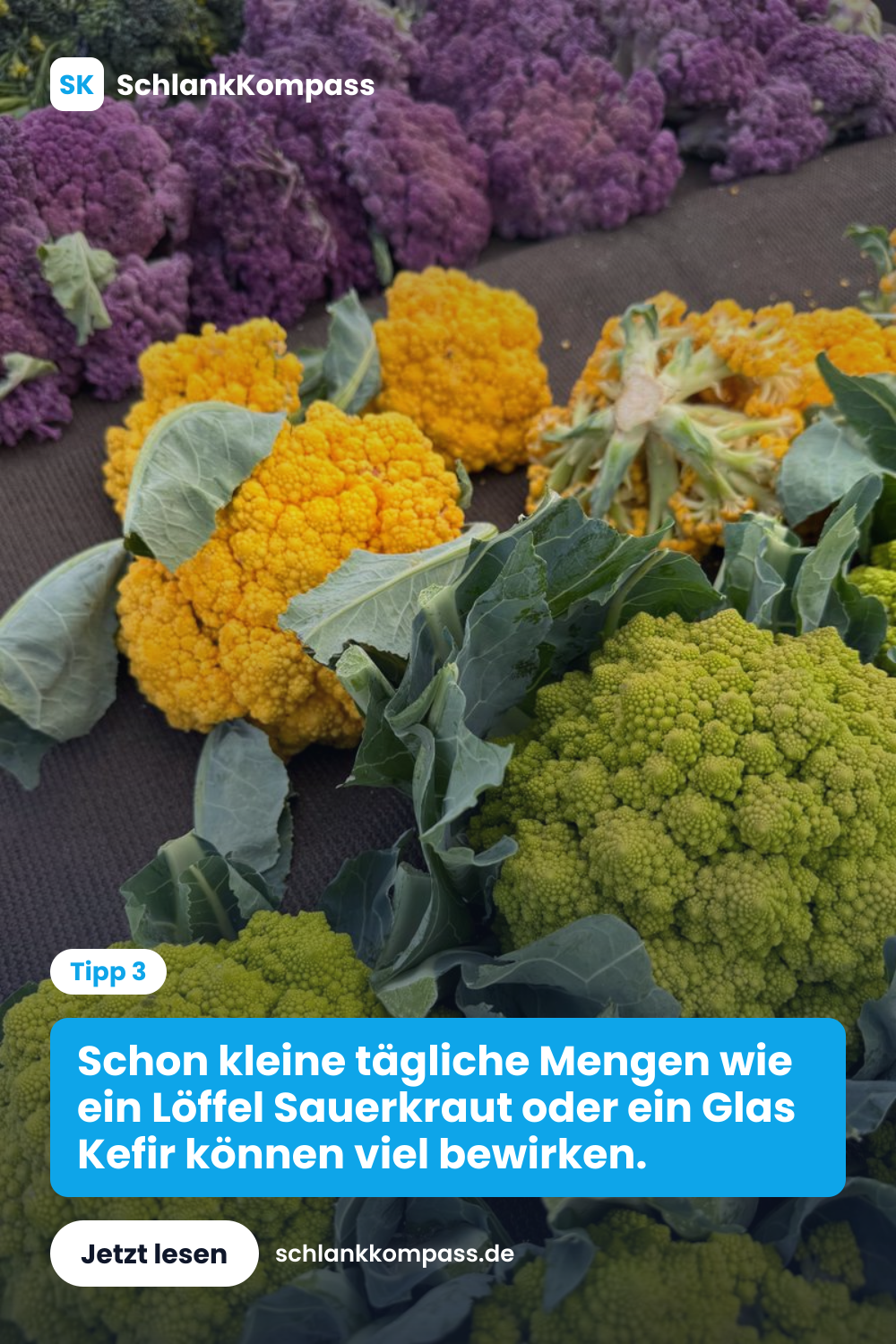 Schon kleine tägliche Mengen wie ein Löffel Sauerkraut oder ein Glas Kefir können viel bewirken.