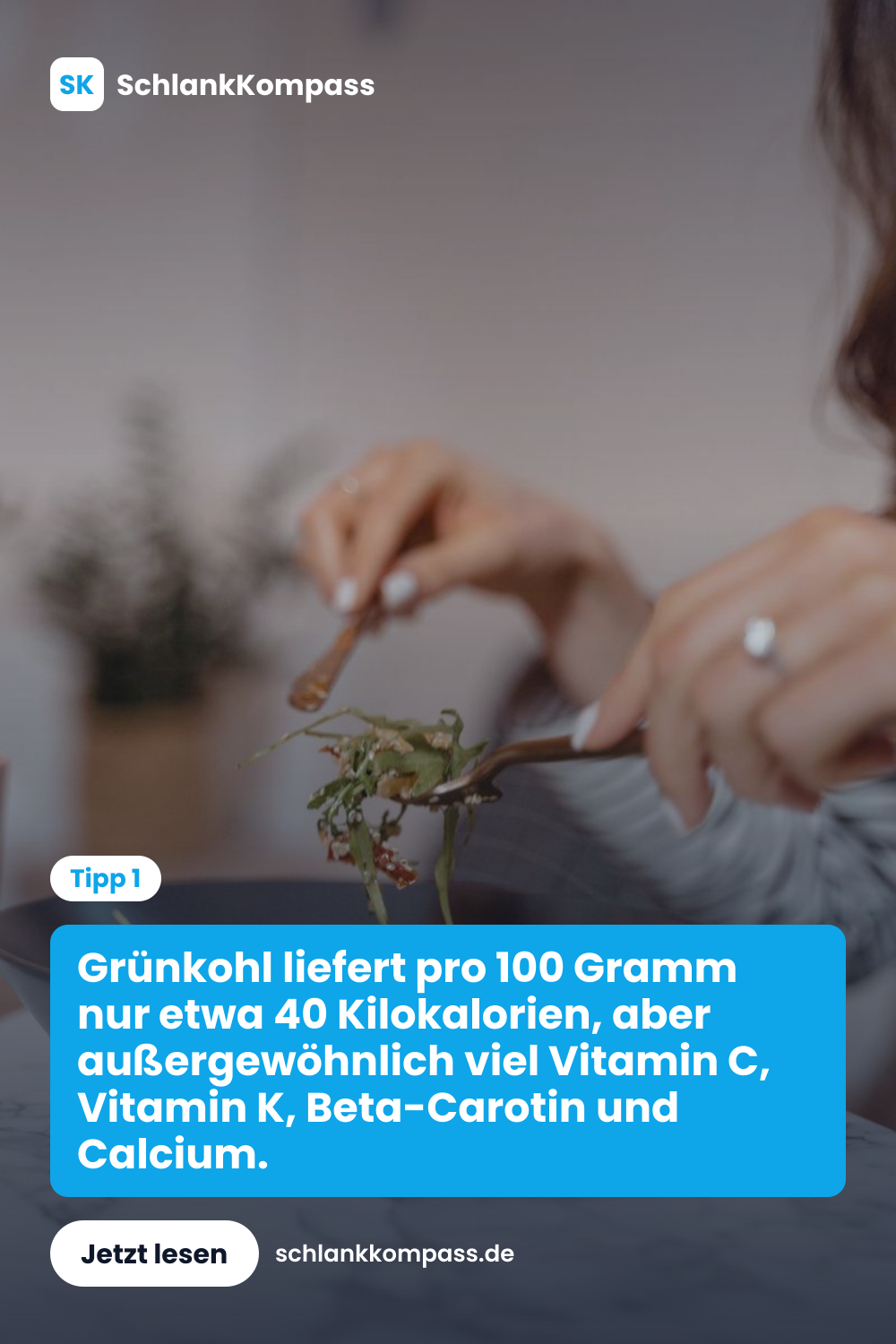 Grünkohl liefert pro 100 Gramm nur etwa 40 Kilokalorien, aber außergewöhnlich viel Vitamin C, Vitamin K, Beta-Carotin und Calcium.