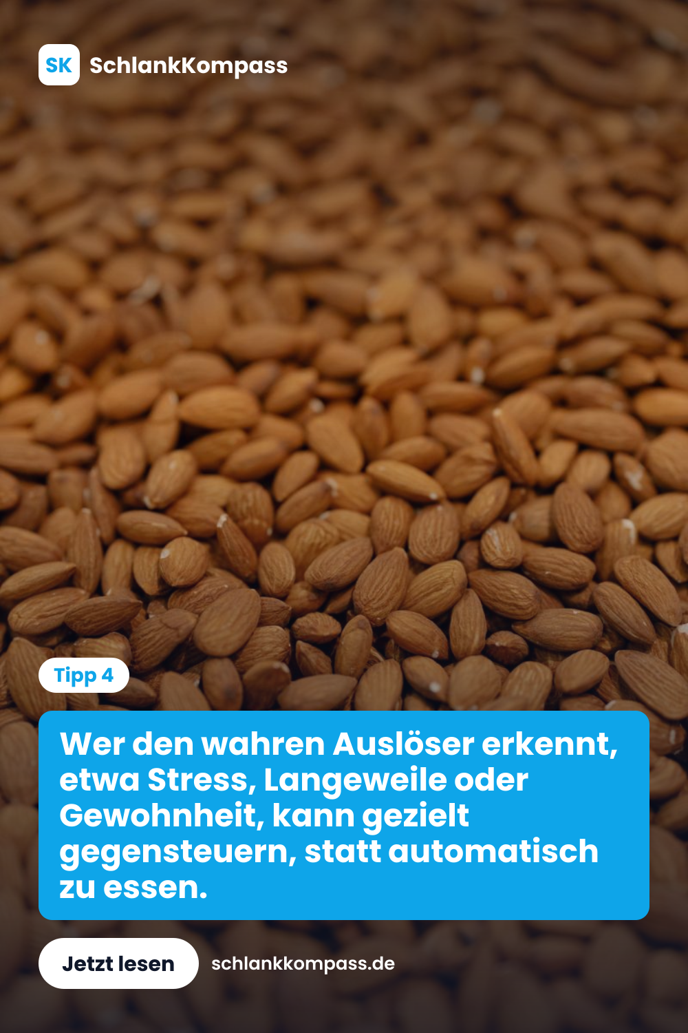 Wer den wahren Auslöser erkennt, etwa Stress, Langeweile oder Gewohnheit, kann gezielt gegensteuern, statt automatisch zu essen.