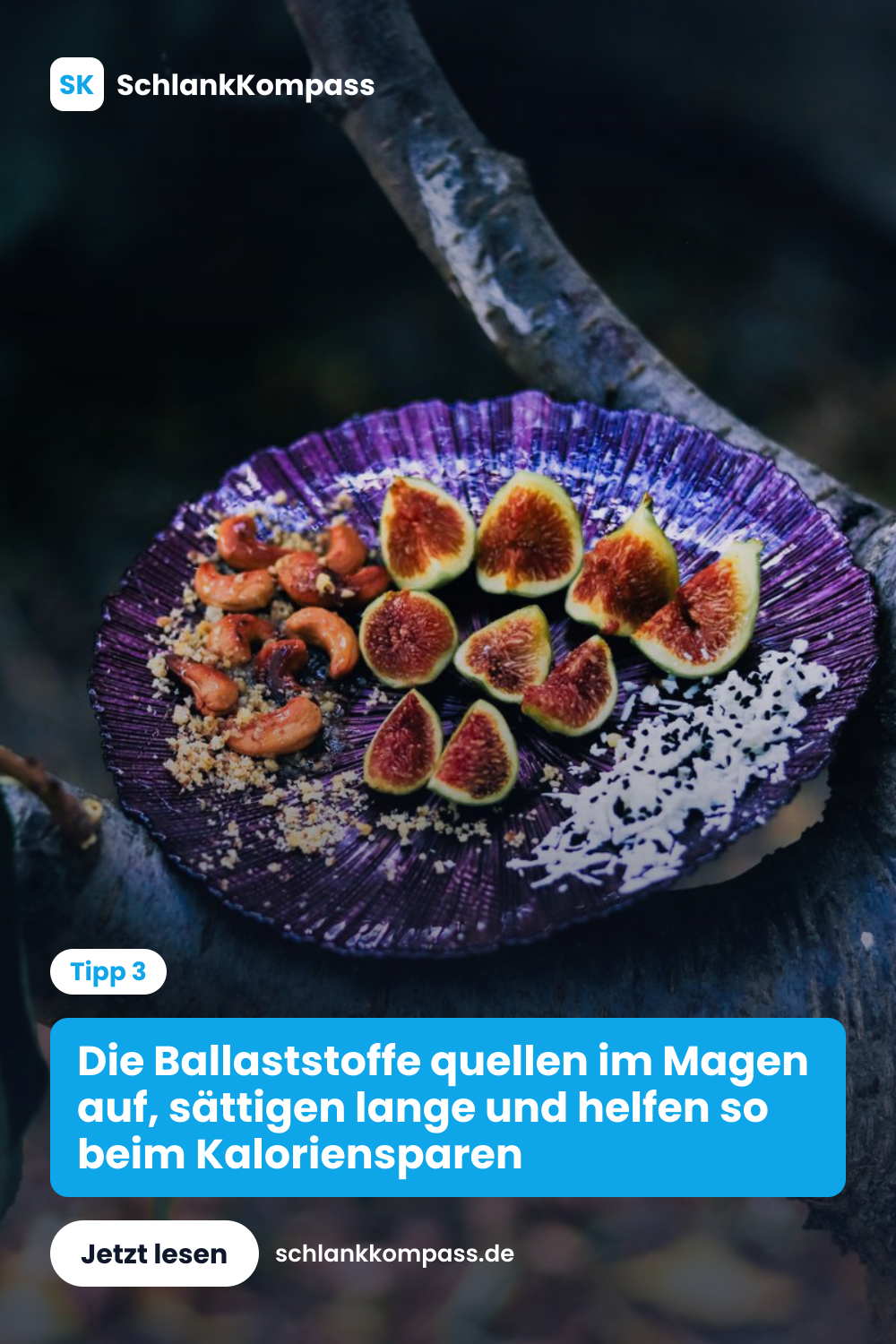 Die Ballaststoffe quellen im Magen auf, sättigen lange und helfen so beim Kaloriensparen
