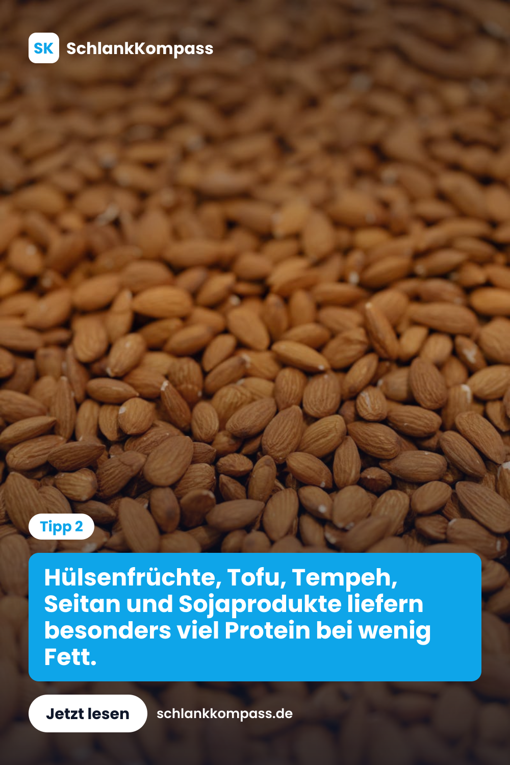 Hülsenfrüchte, Tofu, Tempeh, Seitan und Sojaprodukte liefern besonders viel Protein bei wenig Fett.