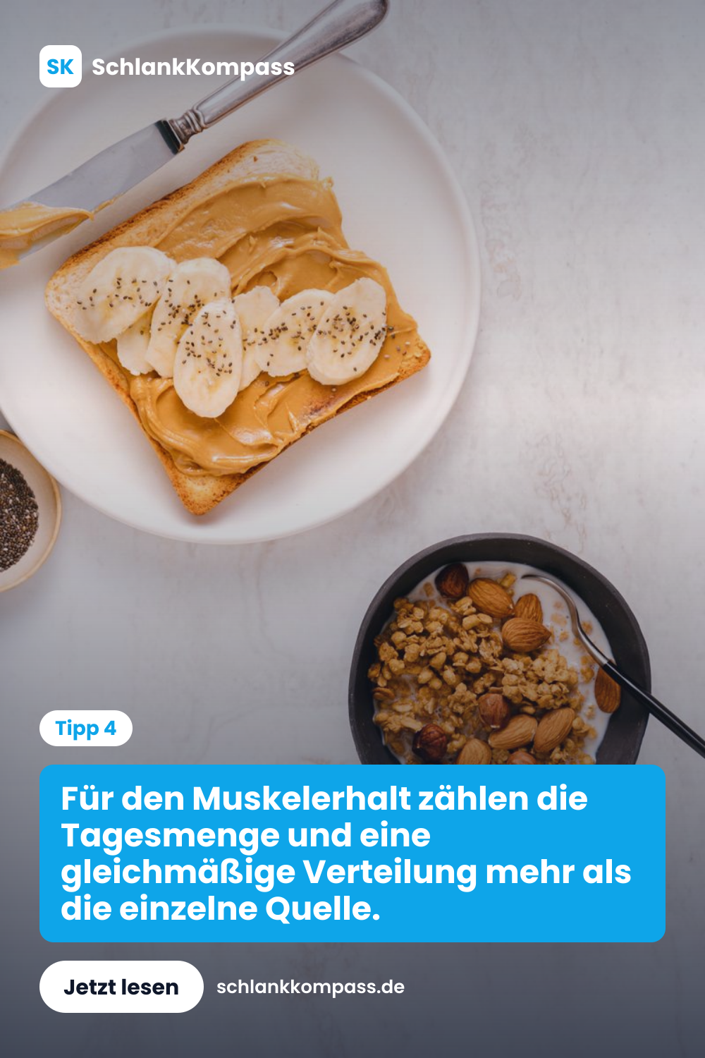 Für den Muskelerhalt zählen die Tagesmenge und eine gleichmäßige Verteilung mehr als die einzelne Quelle.
