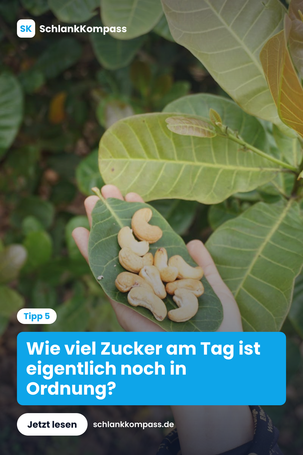 Wie viel Zucker am Tag ist eigentlich noch in Ordnung?