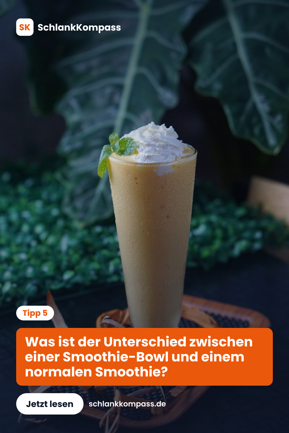 Was ist der Unterschied zwischen einer Smoothie-Bowl und einem normalen Smoothie?